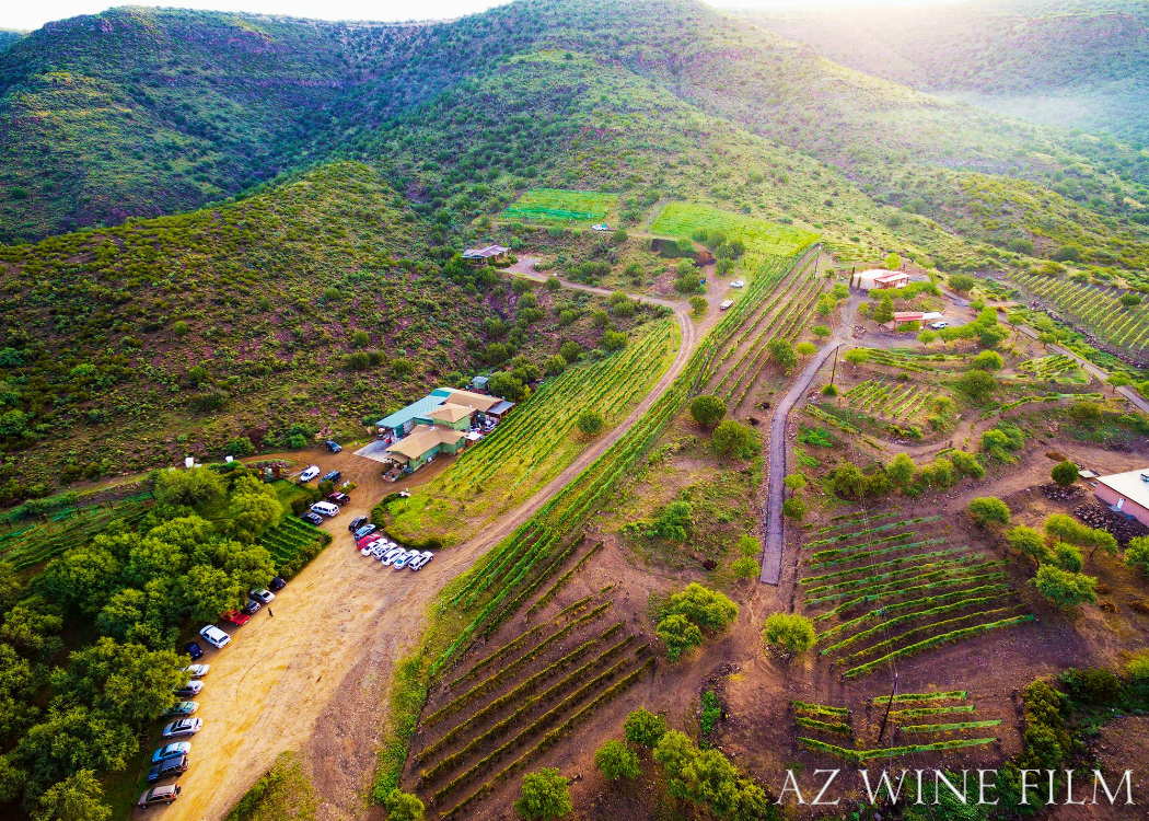 arial view of Javelina Leap Vineard & Winery